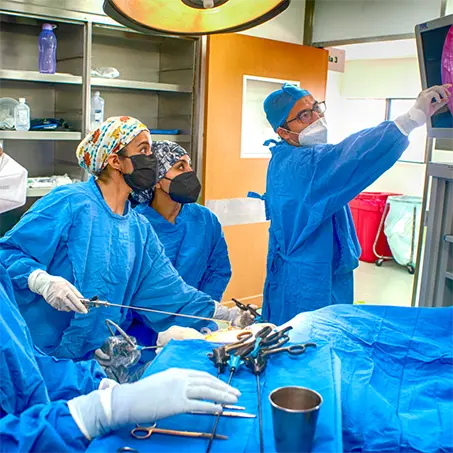 Ruta Carrera formación docente