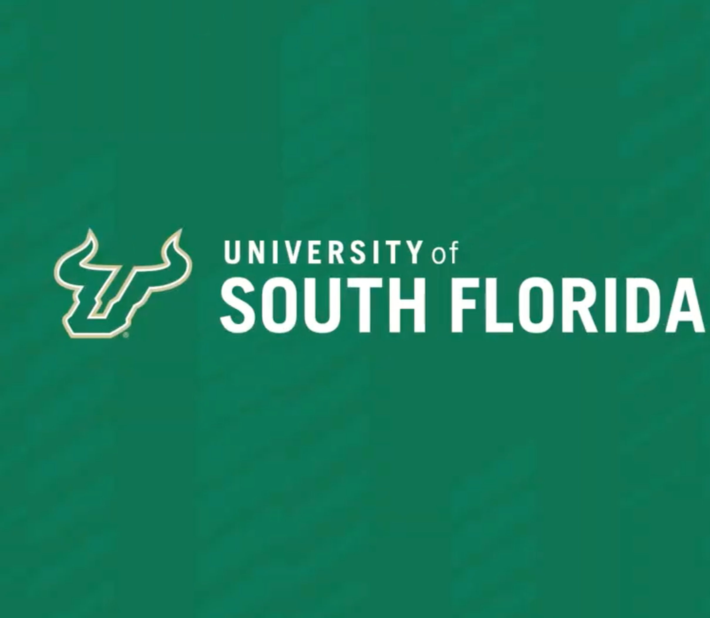 University of South Florida